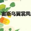 宙斯鳥翼裳鳳蝶（關(guān)于宙斯鳥翼裳鳳蝶介紹）