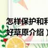 怎樣保護和利用好草原（關(guān)于怎樣保護和利用好草原介紹）