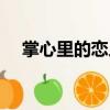 掌心里的戀人（關(guān)于掌心里的戀人簡(jiǎn)介）