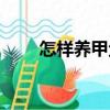 怎樣養(yǎng)甲魚（關(guān)于怎樣養(yǎng)甲魚介紹）