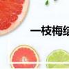 一枝梅結(jié)局（一枝梅結(jié)局是什么）
