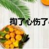 掏了心傷了心（關(guān)于掏了心傷了心簡(jiǎn)介）