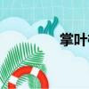 掌葉榕（關(guān)于掌葉榕簡介）