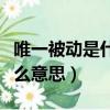 唯一被動是什么意思（王者榮耀唯一被動是什么意思）