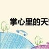 掌心里的天空（關(guān)于掌心里的天空簡(jiǎn)介）