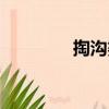 掏溝婆（關(guān)于掏溝婆簡介）