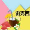 宙克西珀（關(guān)于宙克西珀介紹）