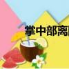 掌中部離斷（關(guān)于掌中部離斷簡(jiǎn)介）