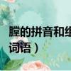 膛的拼音和組詞（膛字怎么讀它可以組成什么詞語(yǔ)）