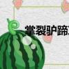 掌裂驢蹄草（關于掌裂驢蹄草簡介）