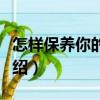 怎樣保養(yǎng)你的乳房（關于怎樣保養(yǎng)你的乳房介紹）