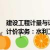 建設(shè)工程計量與計價實務：水利工程（關(guān)于建設(shè)工程計量與計價實務：水利工程介紹）
