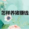 怎樣養(yǎng)豬賺錢多（關(guān)于怎樣養(yǎng)豬賺錢多介紹）