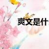 爽文是什么意思（爽文的意思介紹）