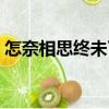 怎奈相思終未了（關(guān)于怎奈相思終未了介紹）