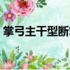 掌弓主干型斷掌（關(guān)于掌弓主干型斷掌簡(jiǎn)介）