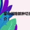 掌中間隙膿腫切開引流術(shù)（關(guān)于掌中間隙膿腫切開引流術(shù)簡(jiǎn)介）