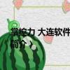 掌控力 大連軟件有限公司（關(guān)于掌控力 大連軟件有限公司簡(jiǎn)介）