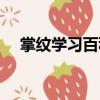 掌紋學(xué)習(xí)百科（關(guān)于掌紋學(xué)習(xí)百科簡(jiǎn)介）