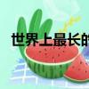 世界上最長的蜈蚣（世界十大最大的蜈蚣）