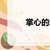掌心的愛(ài)（關(guān)于掌心的愛(ài)簡(jiǎn)介）
