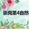 崇崗第4自然村（關(guān)于崇崗第4自然村簡介）
