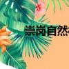 崇崗自然村（關(guān)于崇崗自然村簡介）