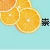 崇岳（關(guān)于崇岳簡介）
