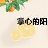 掌心的陽光（關(guān)于掌心的陽光簡介）