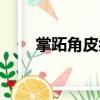 掌跖角皮癥（關(guān)于掌跖角皮癥簡介）