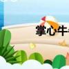 掌心牛牛（關(guān)于掌心牛牛簡(jiǎn)介）