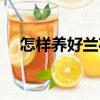 怎樣養(yǎng)好蘭花（關(guān)于怎樣養(yǎng)好蘭花介紹）