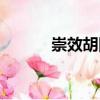 崇效胡同（關(guān)于崇效胡同簡(jiǎn)介）
