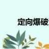 定向爆破法（關(guān)于定向爆破法介紹）