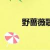 野薔薇歌詞（關(guān)于野薔薇的歌詞）
