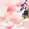 排合（關(guān)于排合簡(jiǎn)介）
