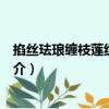 掐絲琺瑯纏枝蓮紋龍耳爐（關(guān)于掐絲琺瑯纏枝蓮紋龍耳爐簡(jiǎn)介）