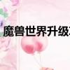 魔獸世界升級(jí)攻略（魔獸世界升級(jí)攻略揭秘）