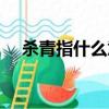 殺青指什么意思（怎么理解殺青的意思）