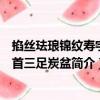 掐絲琺瑯錦紋壽字象首三足炭盆（關(guān)于掐絲琺瑯錦紋壽字象首三足炭盆簡(jiǎn)介）