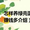 怎樣養(yǎng)綠殼蛋雞賺錢多（關(guān)于怎樣養(yǎng)綠殼蛋雞賺錢多介紹）