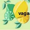 vagaa是什么（vagaa簡介）