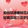 掐絲琺瑯纏枝花卉紋螭龍耳三足爐（關(guān)于掐絲琺瑯纏枝花卉紋螭龍耳三足爐簡(jiǎn)介）