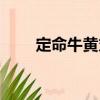 定命牛黃丸（關(guān)于定命牛黃丸介紹）