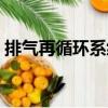 排氣再循環(huán)系統(tǒng)（關(guān)于排氣再循環(huán)系統(tǒng)簡(jiǎn)介）