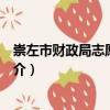 崇左市財政局志愿服務(wù)隊（關(guān)于崇左市財政局志愿服務(wù)隊簡介）