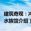 建筑奇觀：沖繩水族館（關(guān)于建筑奇觀：沖繩水族館介紹）