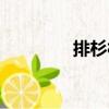 排杉村（關(guān)于排杉村簡介）