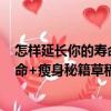 怎樣延長(zhǎng)你的壽命+瘦身秘籍草稿本（關(guān)于怎樣延長(zhǎng)你的壽命+瘦身秘籍草稿本介紹）