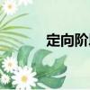 定向階段（關(guān)于定向階段介紹）